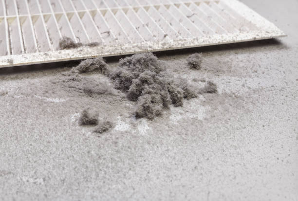 Best Residential Air Duct Cleaning  in Fyffe, AL