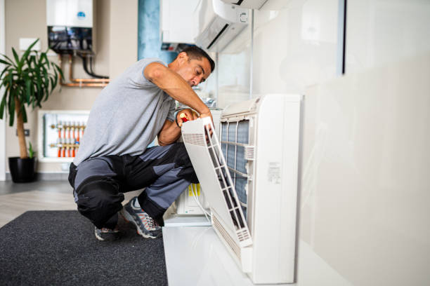 Best HVAC System Cleaning  in Fyffe, AL
